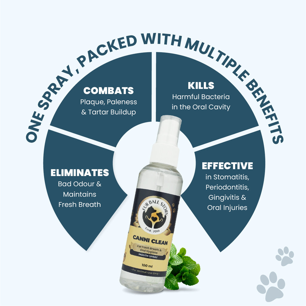 Infographic showing a Canni Clean spray bottle surrounded by key pet dental benefits: combats plaque, kills bacteria, eliminates bad odor, and helps oral injuries.