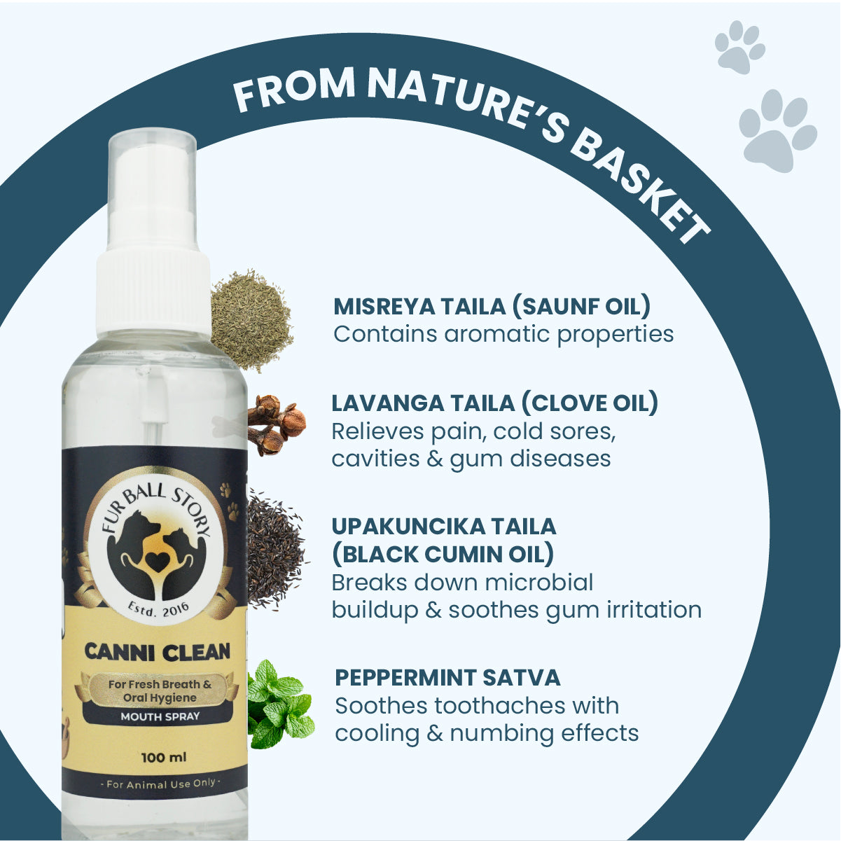 Graphic detailing natural ingredients of Canni Clean spray: Saunf oil, clove oil, black cumin oil, and peppermint, along with their healing properties.