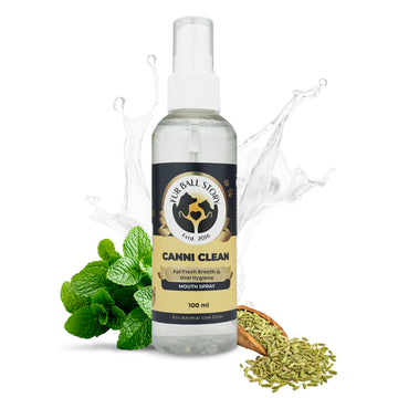 A bottle of Canni Clean pet mouth spray surrounded by fresh mint leaves, a wooden scoop of fennel seeds, and a water splash on a white background.