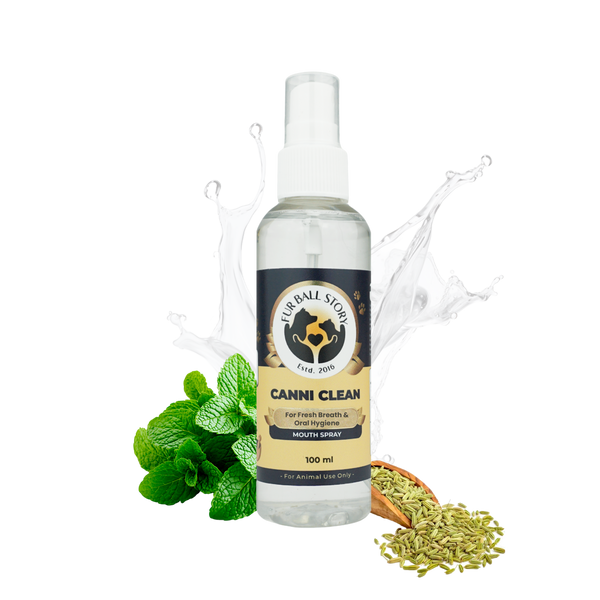 Isolated Canni Clean pet mouth spray bottle with mint leaves, fennel seeds, and a water splash on a checkered background.