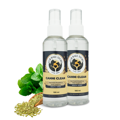Two bottles of Canni Clean pet mouth spray standing side-by-side next to fresh mint leaves and a scoop of fennel seeds on a dark grey checkered background.