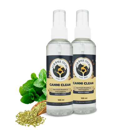 Two bottles of Canni Clean pet mouth spray standing side-by-side next to fresh mint leaves and a scoop of fennel seeds on a dark grey checkered background.