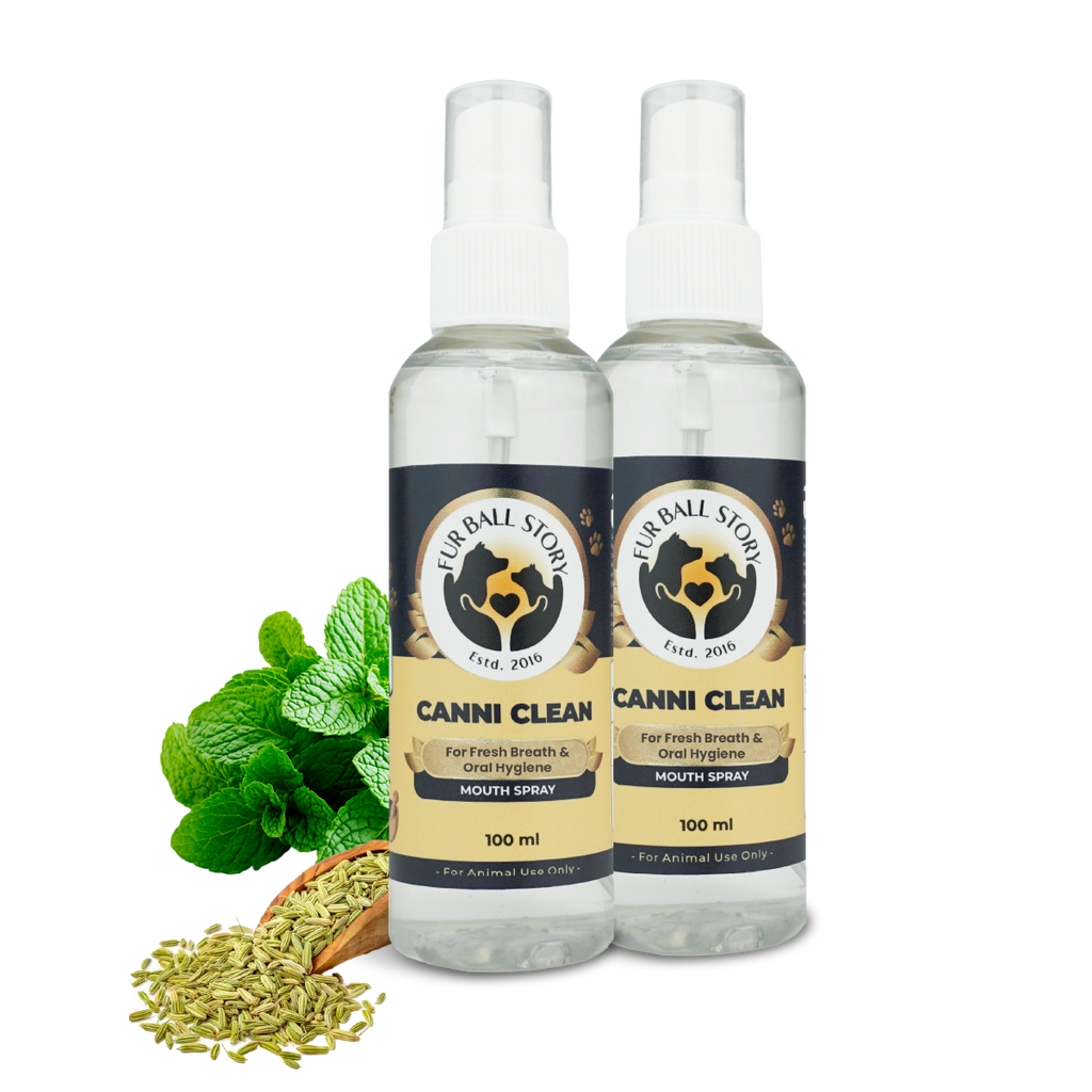 Two bottles of Canni Clean pet mouth spray standing side-by-side next to fresh mint leaves and a scoop of fennel seeds on a dark grey checkered background.