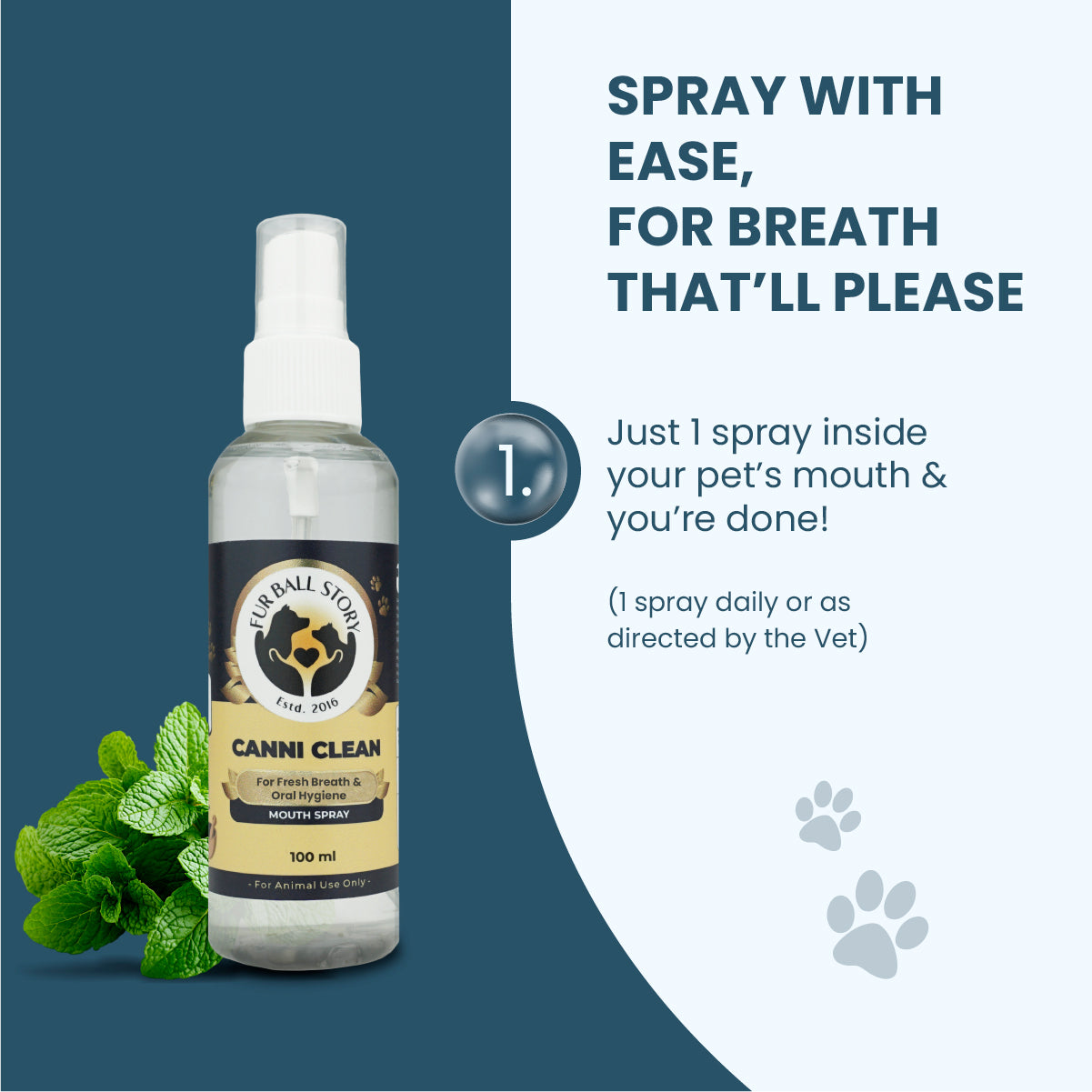 Direction infographic stating to use just 1 daily spray inside the pet's mouth for fresh breath, pictured next to the product bottle and mint leaves.