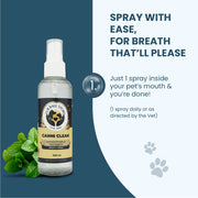Direction infographic stating to use just 1 daily spray inside the pet's mouth for fresh breath, pictured next to the product bottle and mint leaves.