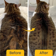 A before-and-after comparison showing a cat's fur transforming from dry and flaky to clean, sleek, and well-groomed.