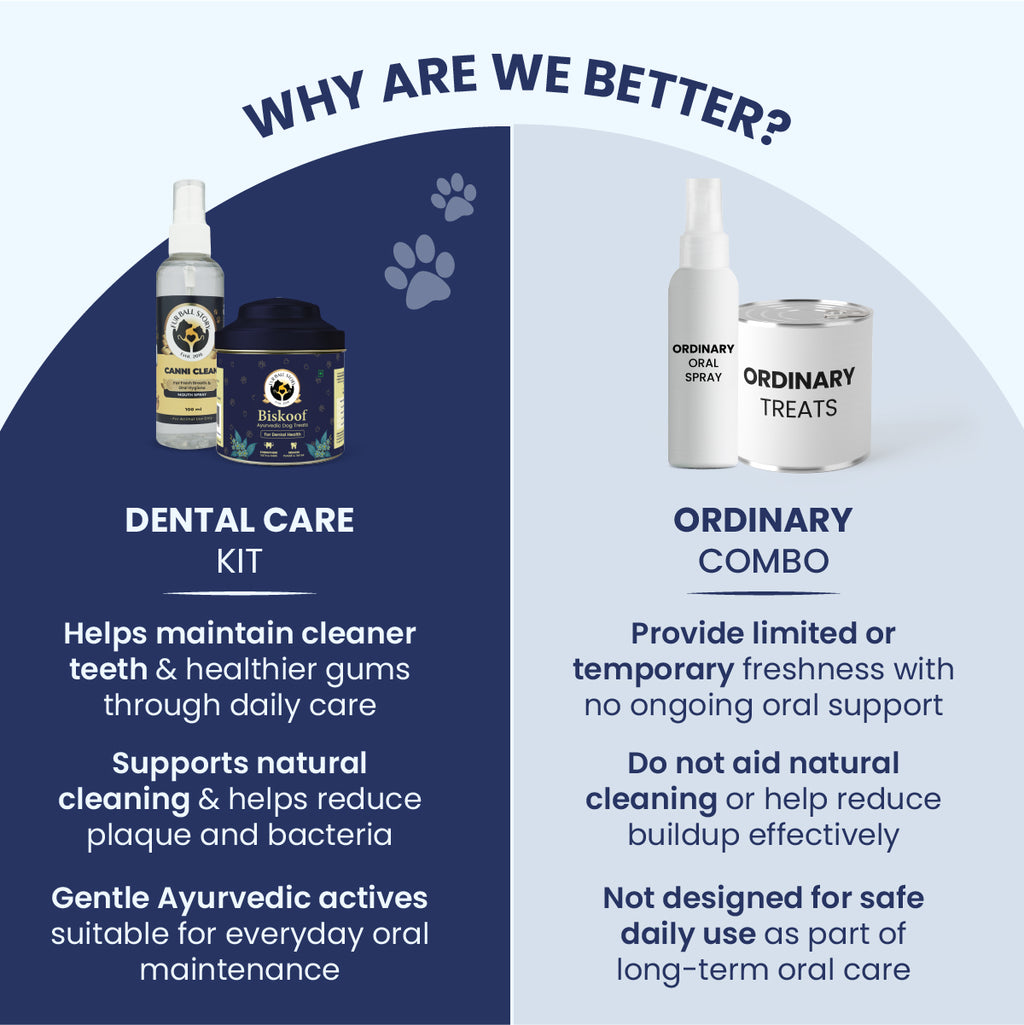A "Why Are We Better?" split-screen visual contrasting the deep-blue side of professional Ayurvedic dental care against a washed-out "Ordinary Combo," illustrating the difference between long-term oral health and temporary fixes.