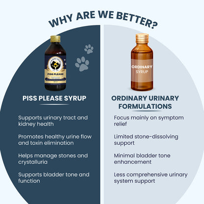 A "Why Are We Better?" chart contrasting "Piss Please" against generic syrups. It highlights comprehensive care like stone dissolution and bladder tone enhancement versus ordinary products that focus strictly on temporary symptom relief.