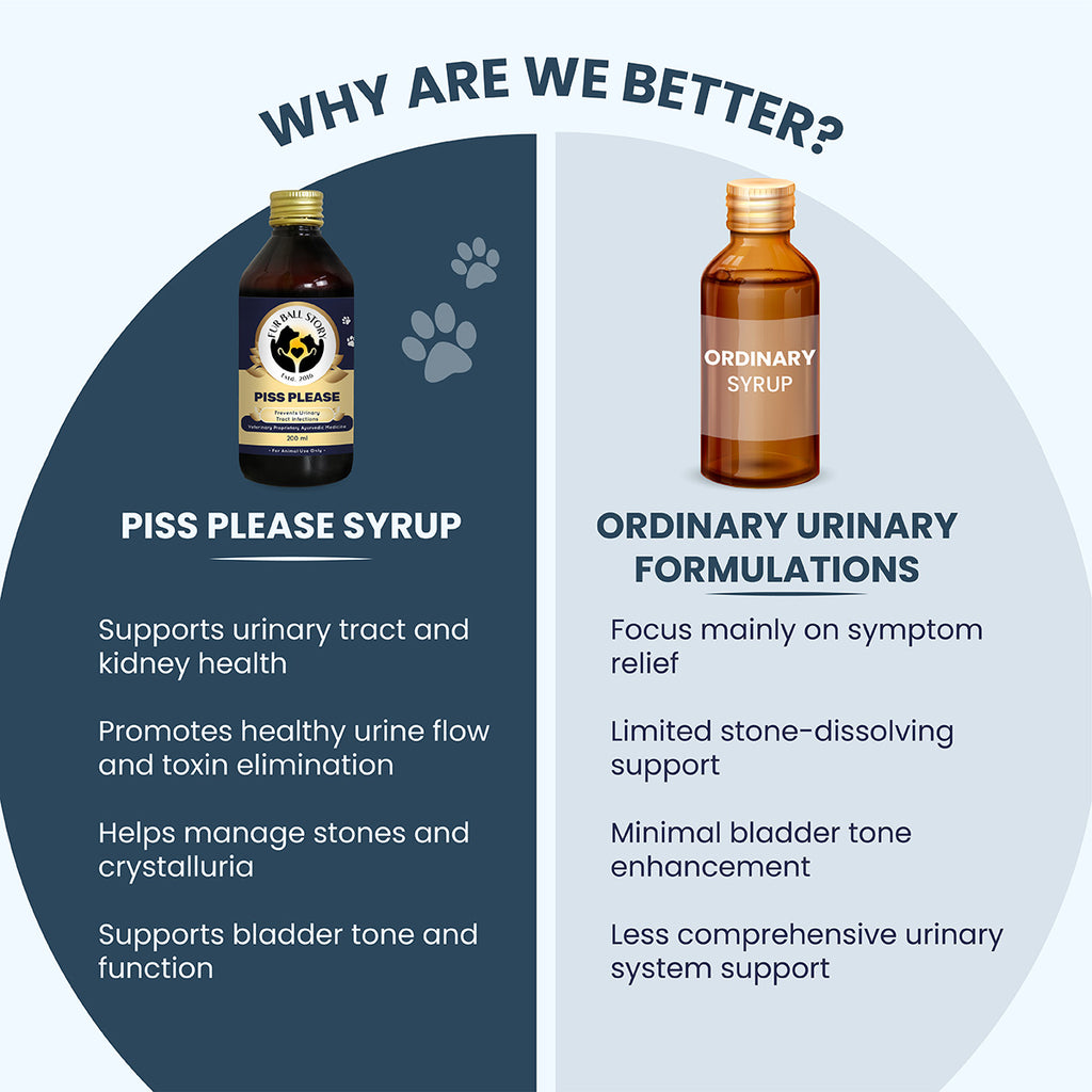 A "Why Are We Better?" chart contrasting "Piss Please" against generic syrups. It highlights comprehensive care like stone dissolution and bladder tone enhancement versus ordinary products that focus strictly on temporary symptom relief.