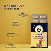 Diagram showing how the tablets help expel parasites gently, reduce gas and digestive discomfort, naturally target intestinal worms, and cleanse the gut.
