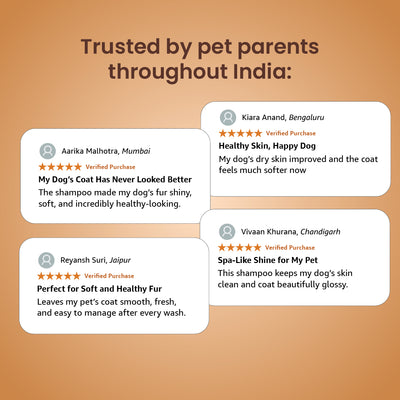 Shampooch: Best Dog Shampoo For Healthy Skin & Shiny Coat - 300ml | dog shampoo