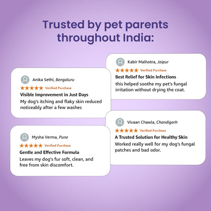 Graphic displaying four positive customer reviews from pet parents across India praising the shampoo's effectiveness.