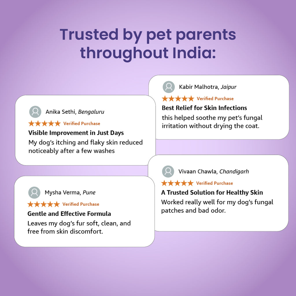 Graphic displaying four positive customer reviews from pet parents across India praising the shampoo's effectiveness.