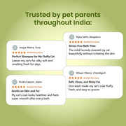 A collection of four positive 5-star verified customer reviews praising the mild, skin-friendly formula from different cities across India.