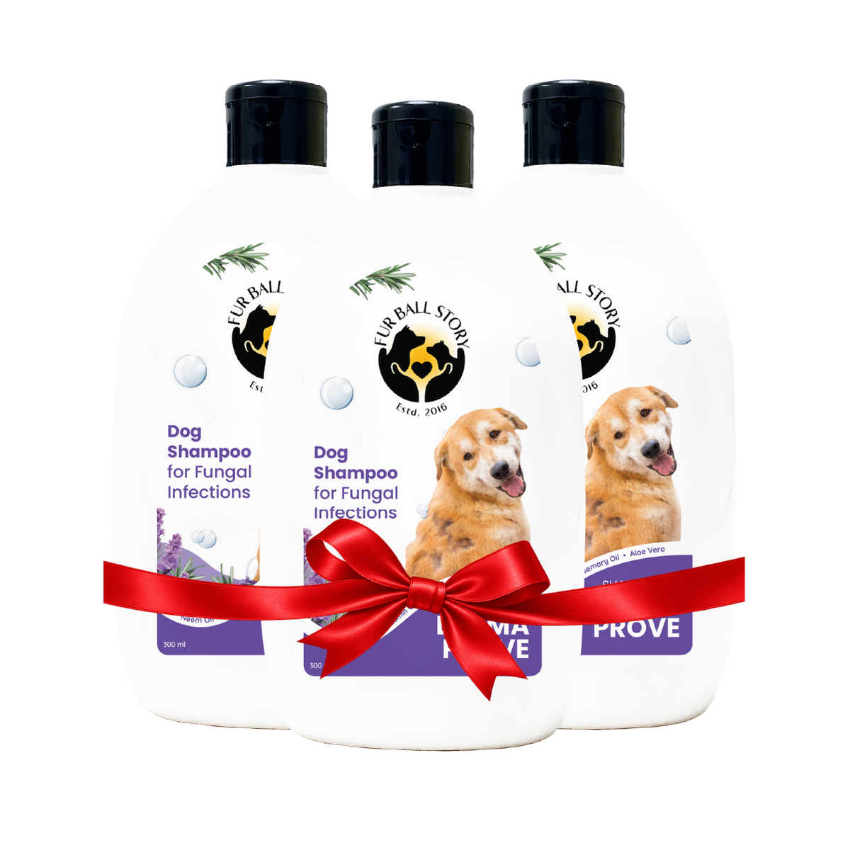 Dermaprove Shampooch: Antifungal Dog Shampoo - 300ml (BUY 2 GET 1 FREE)