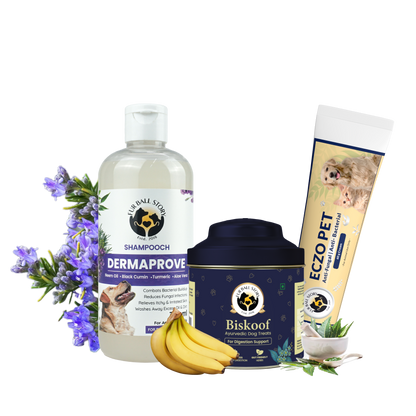 Dermaprove: Antifungal Dog Shampoo - 300ml