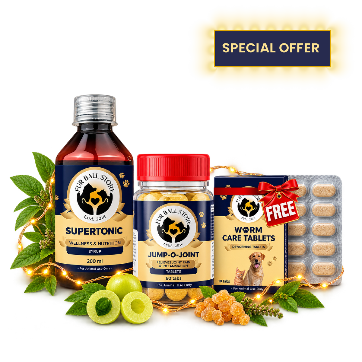 Diwali Wellness Kit for Dogs