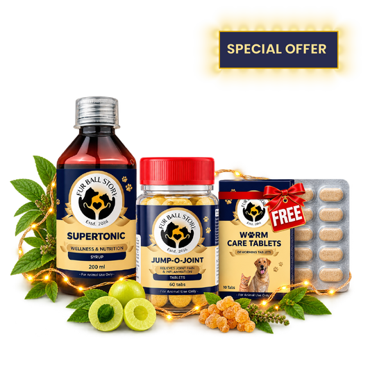 Diwali Wellness Kit for Dogs