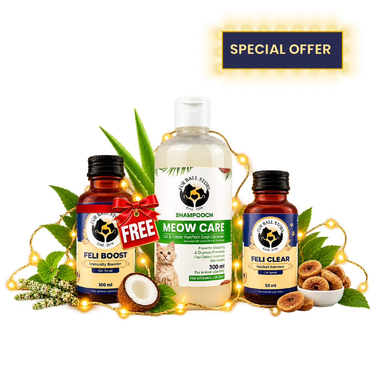 Diwali Wellness Kit for Cats
