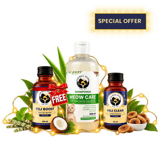 Diwali Wellness Kit for Cats