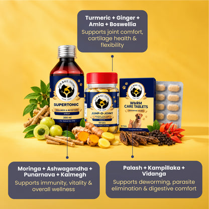 Diwali Wellness Kit for Dogs