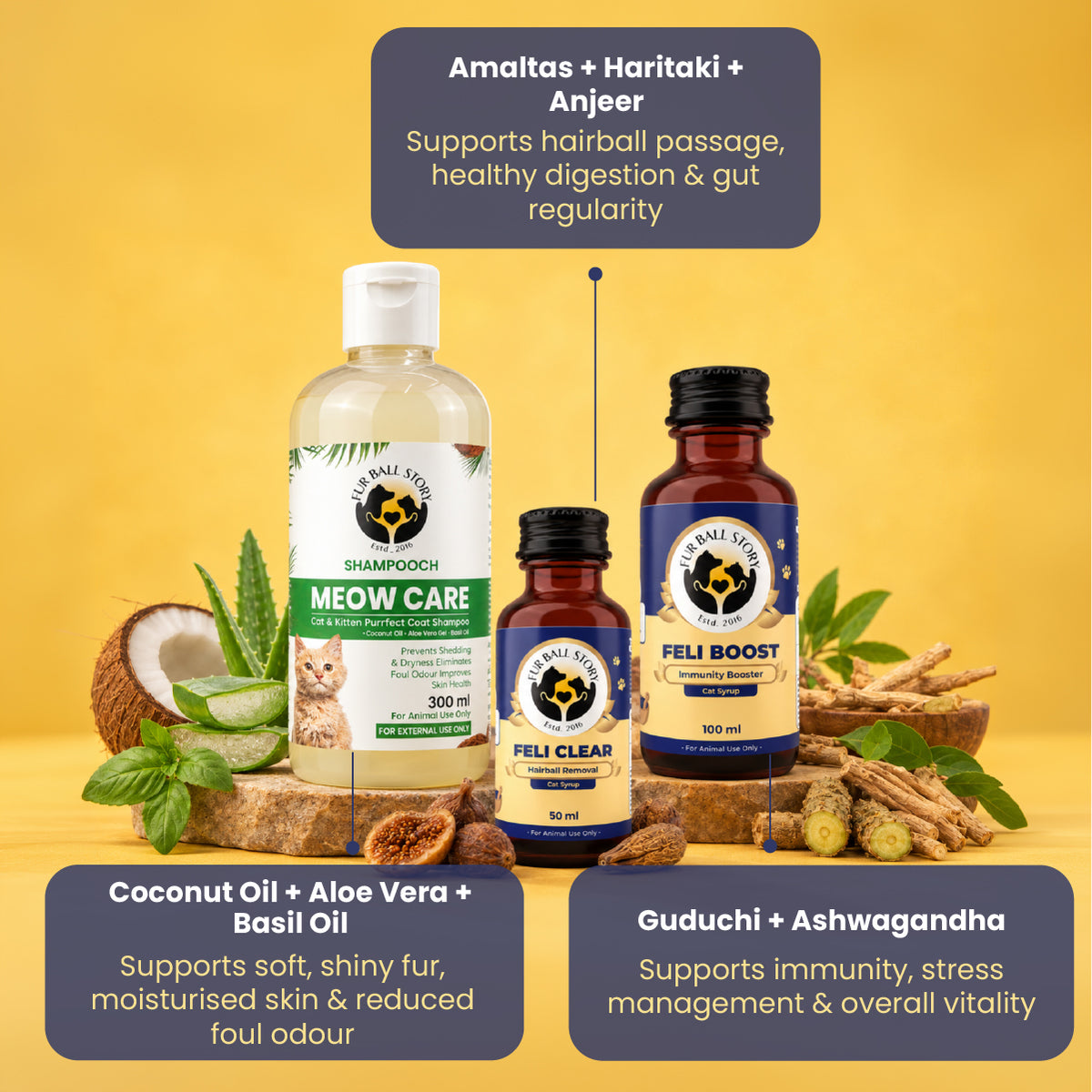 Diwali Wellness Kit for Cats
