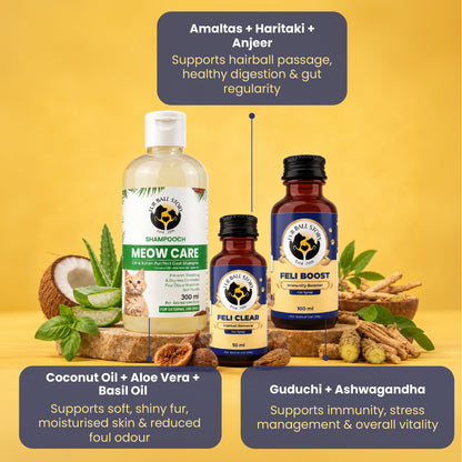 Diwali Wellness Kit for Cats