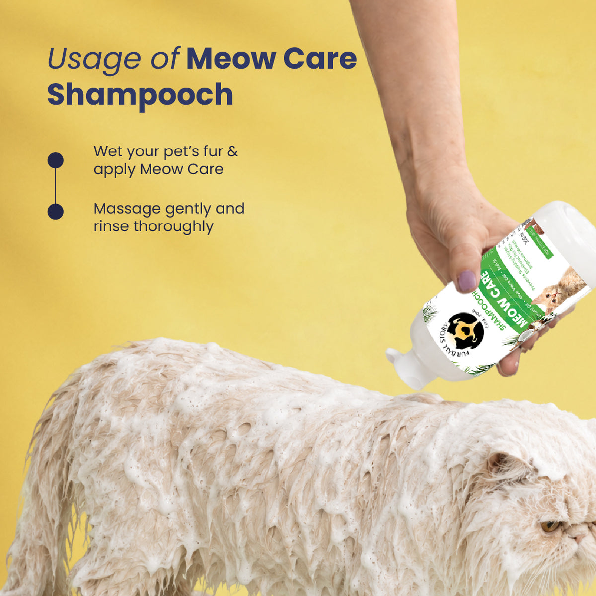 Diwali Wellness Kit for Cats