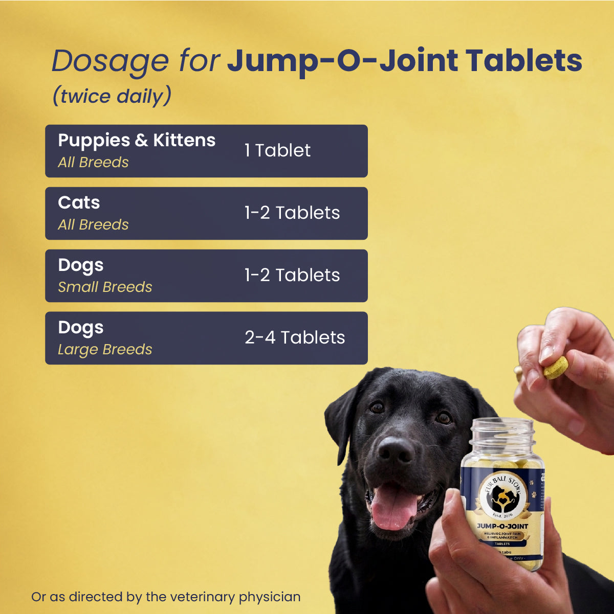 Diwali Wellness Kit for Dogs
