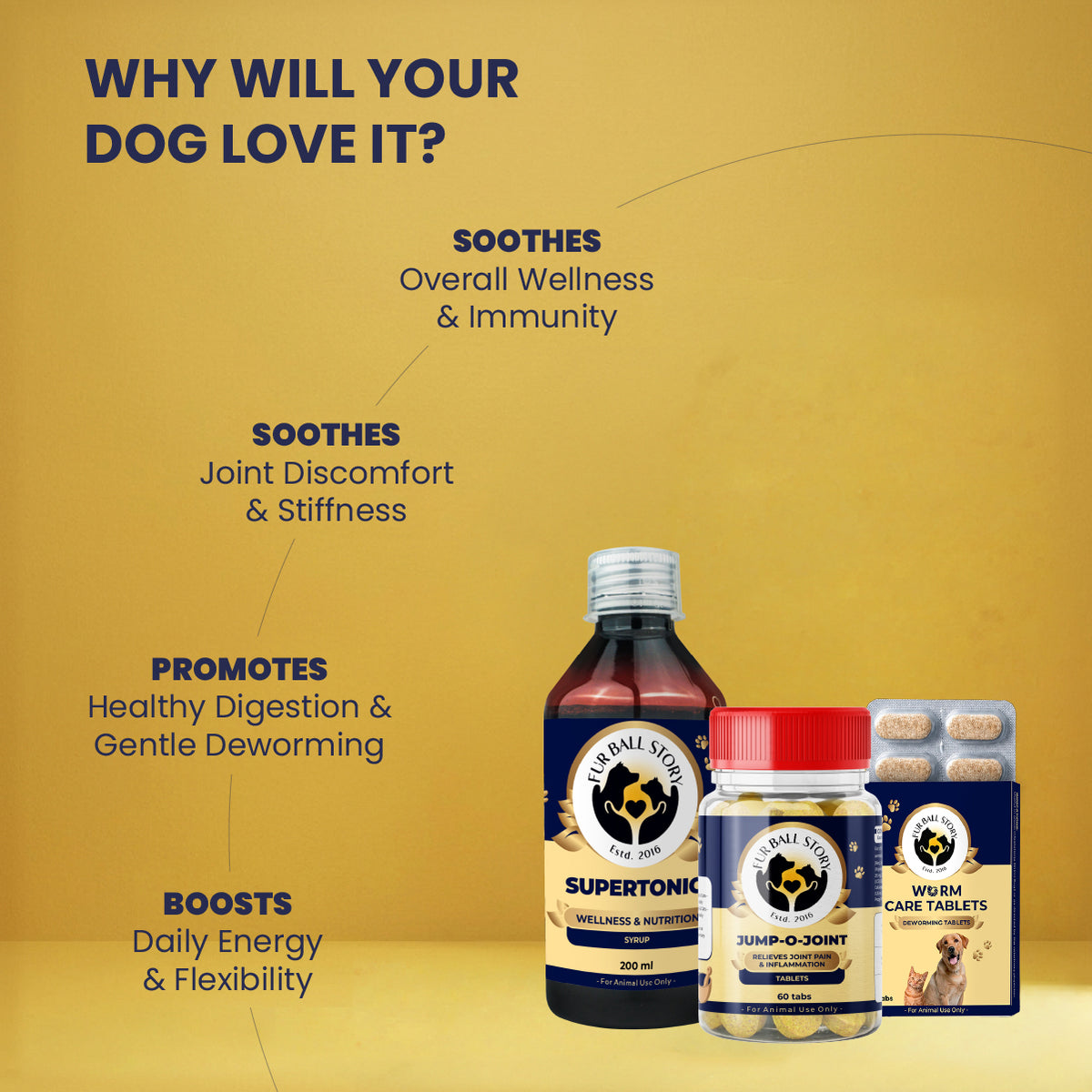 Diwali Wellness Kit for Dogs