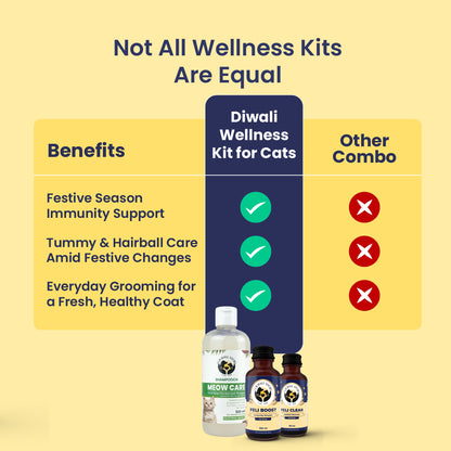 Diwali Wellness Kit for Cats