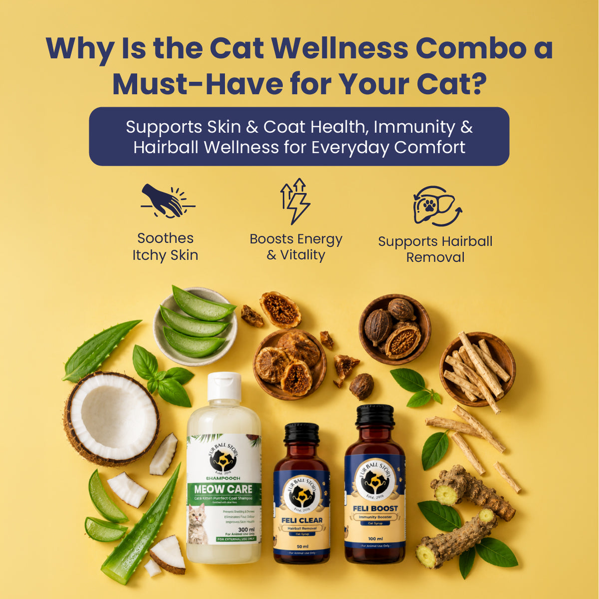 Diwali Wellness Kit for Cats