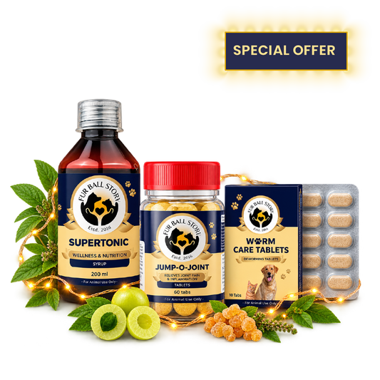 Diwali Wellness Kit for Dogs