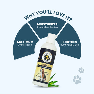 Infographic showing a dog sunscreen bottle with text highlighting three benefits: maximum UV protection, moisturizes skin, and soothes burnt paws.