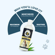 Infographic showing a dog sunscreen bottle with text highlighting three benefits: maximum UV protection, moisturizes skin, and soothes burnt paws.