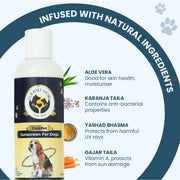Graphic displaying natural ingredients in the dog sunscreen: aloe vera, karanja taila, yashad bhasma, and gajar taila.