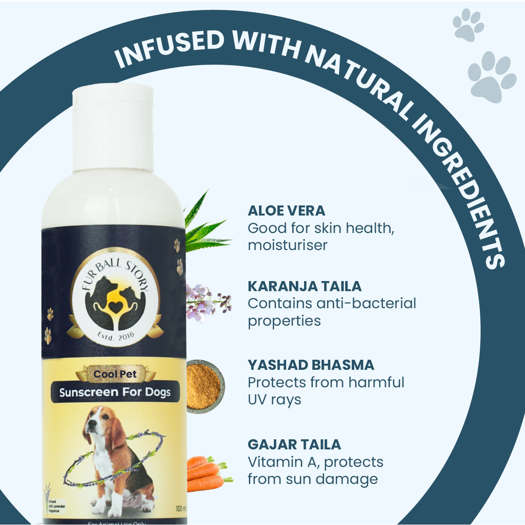 Graphic displaying natural ingredients in the dog sunscreen: aloe vera, karanja taila, yashad bhasma, and gajar taila.