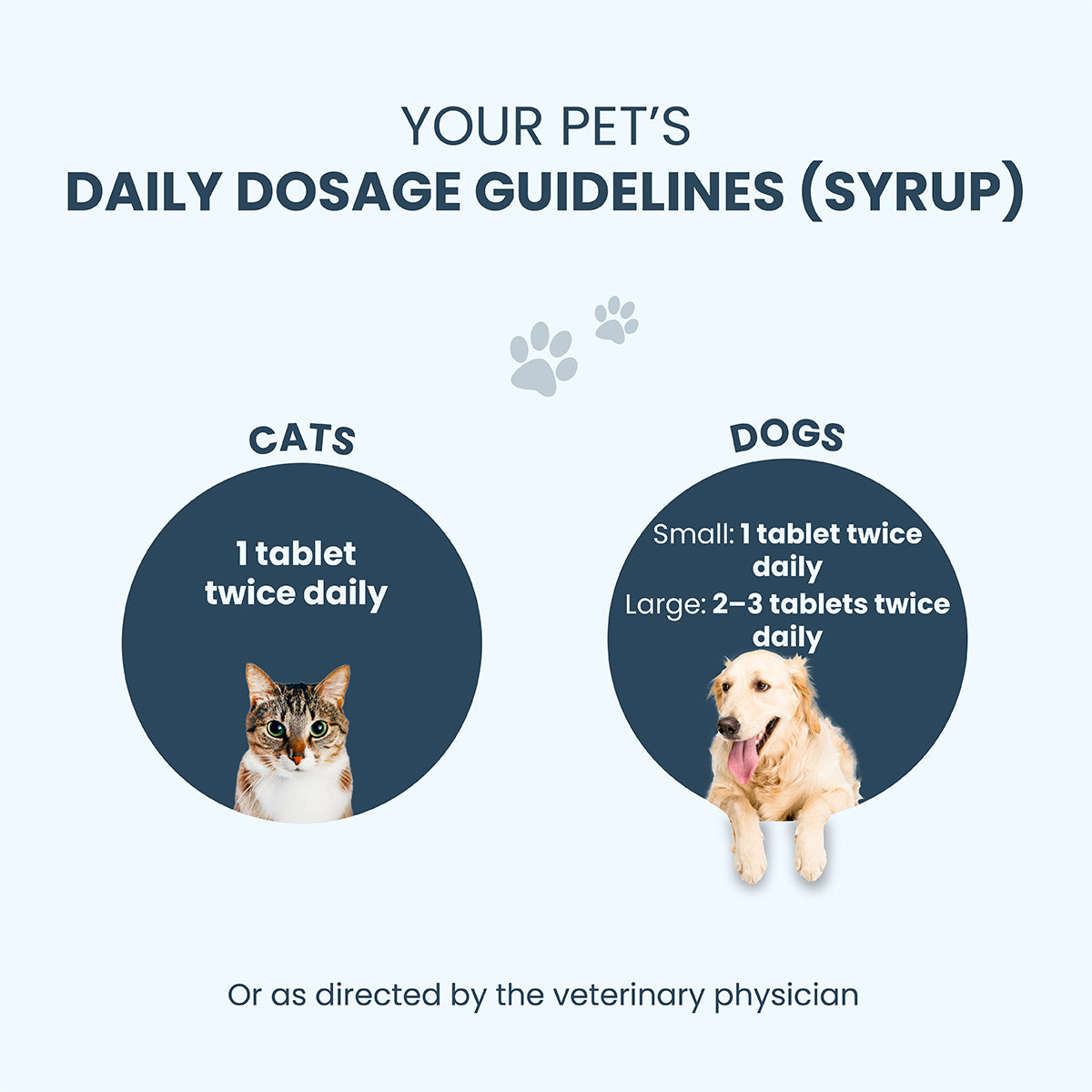 A clean visual roadmap for daily administration, specifying one tablet twice daily for cats and small dogs, and 2–3 tablets twice daily for larger dog breeds.