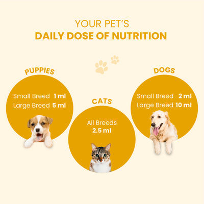 Supertonic Syrup: Ensures Head to Tail Wellness of Dogs & Cats - 200ml | multi vitamin for dogs