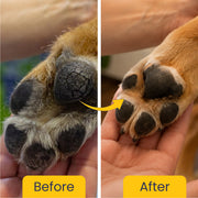 Cool Pet: Moisturising Sunscreen For Dogs - 100 ml