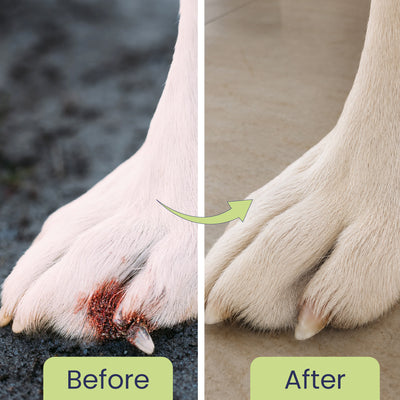 Heal Pet: Wound Healing Cream For Dogs & Cats - 60gm