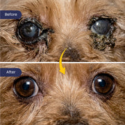 Blink Ease: Eye Drops For Dogs That Cleans & Protects Eyes Naturally
