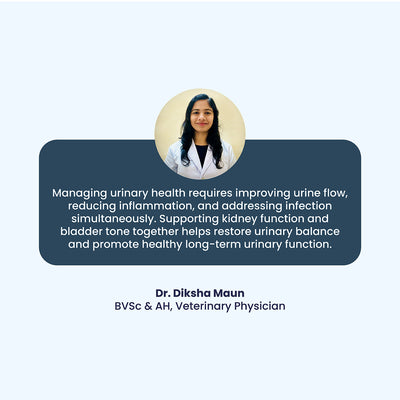 Dr. Diksha Maun (BVSc & AH) provides a clinical perspective, emphasizing that long-term urinary health requires a simultaneous approach of reducing inflammation, improving flow, and restoring overall bladder tone.