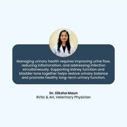 Dr. Diksha Maun (BVSc & AH) provides a clinical perspective, emphasizing that long-term urinary health requires a simultaneous approach of reducing inflammation, improving flow, and restoring overall bladder tone.