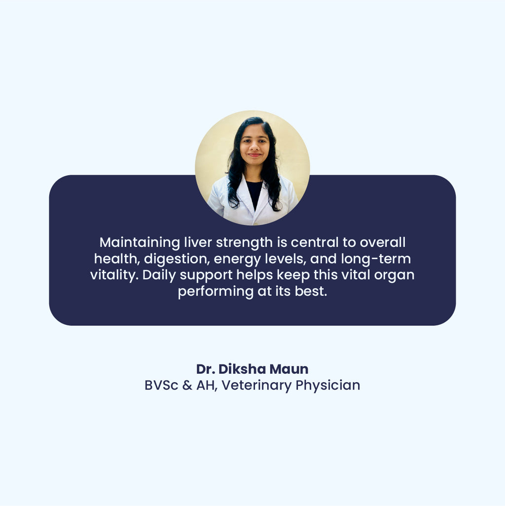 Quote from Veterinary Physician Dr. Diksha Maun explaining that maintaining liver strength is central to a dog's overall health, digestion, and vitality.