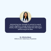 Quote from Veterinary Physician Dr. Diksha Maun explaining that maintaining liver strength is central to a dog's overall health, digestion, and vitality.