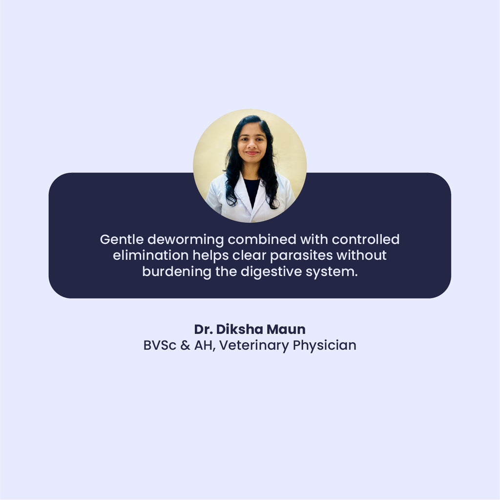 A professional testimonial from Dr. Diksha Maun, a Veterinary Physician, who explains that gentle deworming clears parasites without burdening the pet's system. Her portrait is centered above a navy quote block, adding clinical trust to the herbal product.