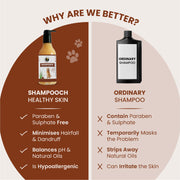 Shampooch: Best Dog Shampoo For Healthy Skin & Shiny Coat - 300ml