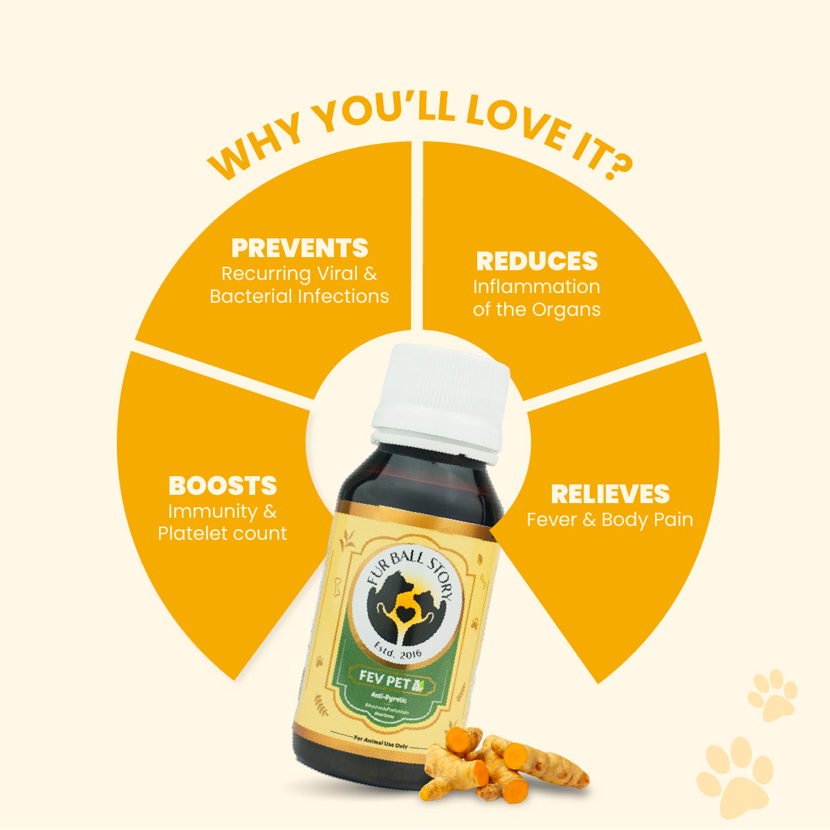 An infographic detailing the benefits of Fev Pet syrup, including preventing infections, reducing inflammation, boosting immunity, and relieving fever.