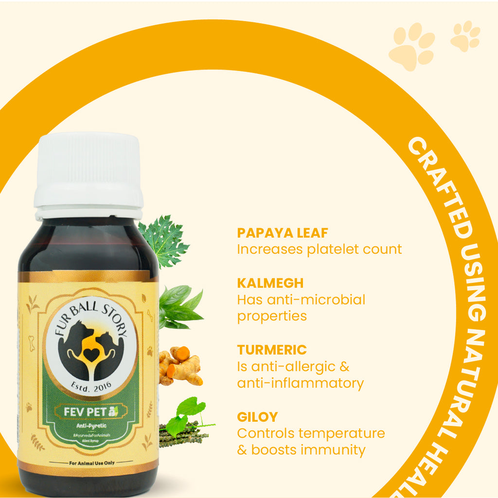 A graphic showcasing the natural ingredients of Fev Pet syrup: Papaya Leaf, Kalmegh, Turmeric, and Giloy with their medicinal properties.